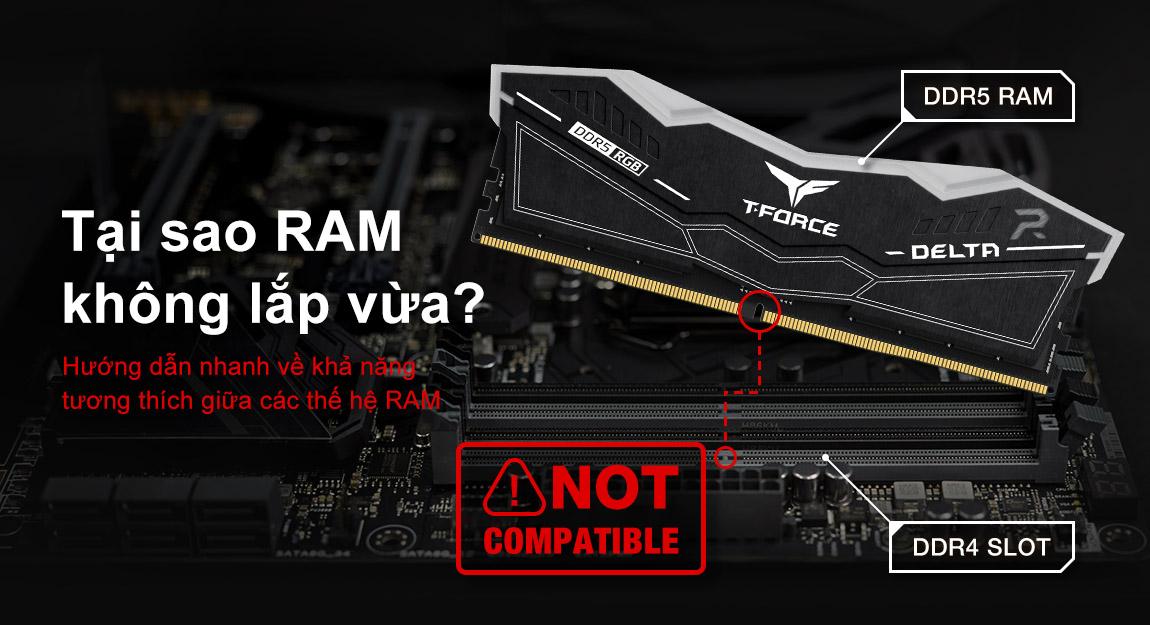RAM Không Lắp Vừa? Cách Kiểm Tra Tương Thích Giữa Các Thế Hệ RAM