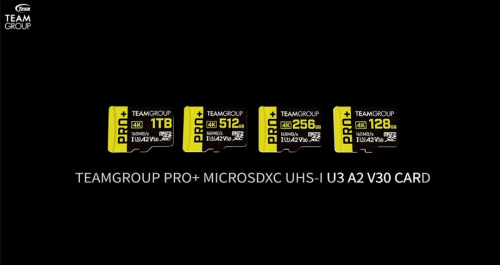 PRO+ MicroSDXC UHS-I U3 A2 V30 存储卡