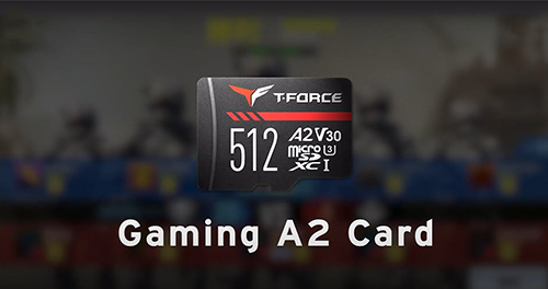 T-FORCE Gaming A2 CARD
