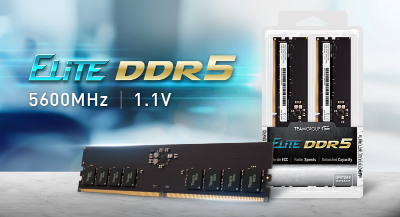 TEAMGROUP ELITE U-DIMM DDR5 표준 메모리에서 더 업그레이드된 5600MHz 고주파수 사양 공개