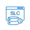 SLC Cache